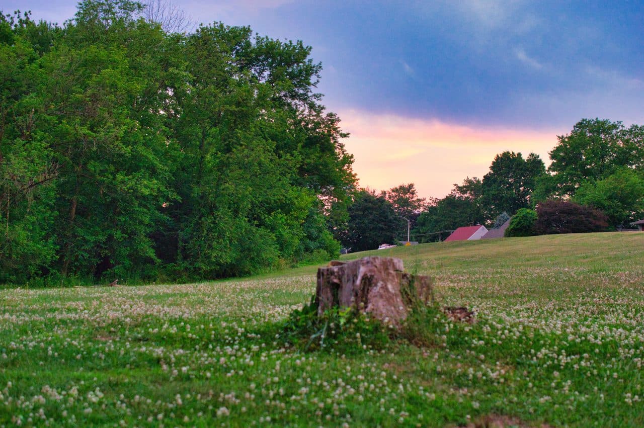 Sunset over the open greenbelt easement in the Cobalt Ridge section of Levittown, Pennsylvania, with the rooflines of Levitt-built homes beyond the treeline.
