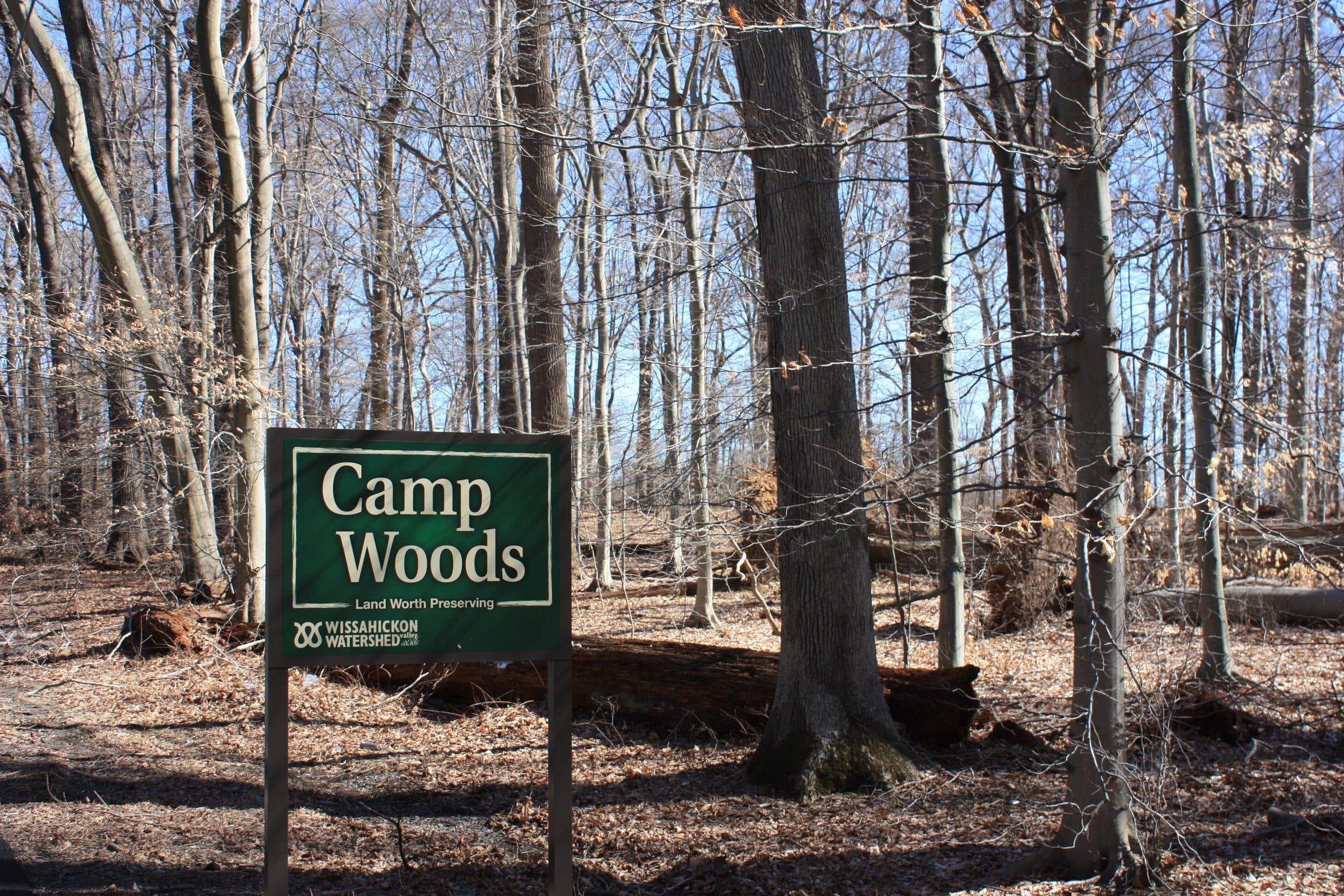 The entrance sign to Camp Woods, a preserved woodland in the Blue Bell section of Whitpain Township, Pennsylvania, among bare winter trees.