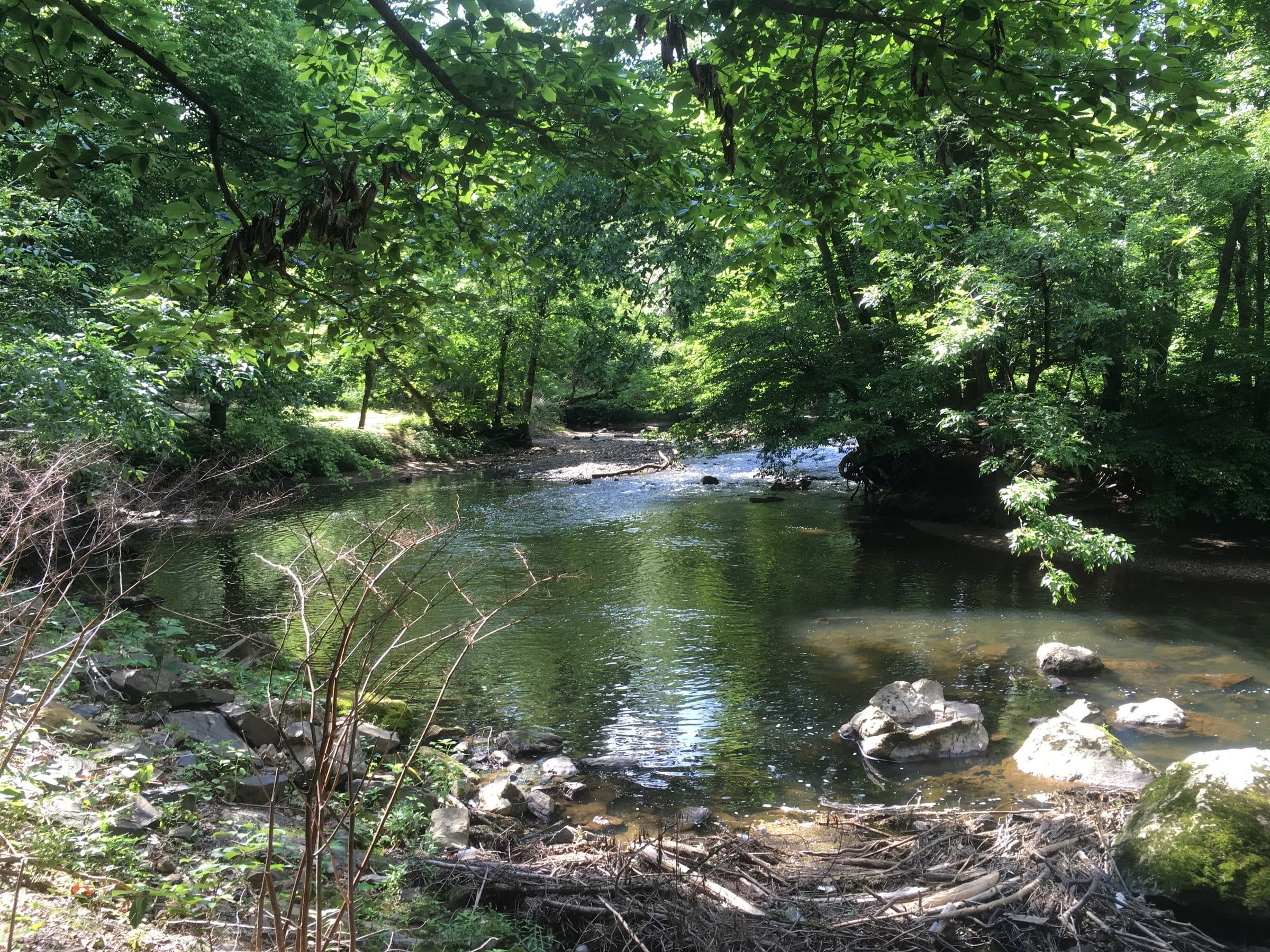 The Pennypack Creek running through wooded Pennypack Park, which forms the southern edge of the Bustleton section of Philadelphia.