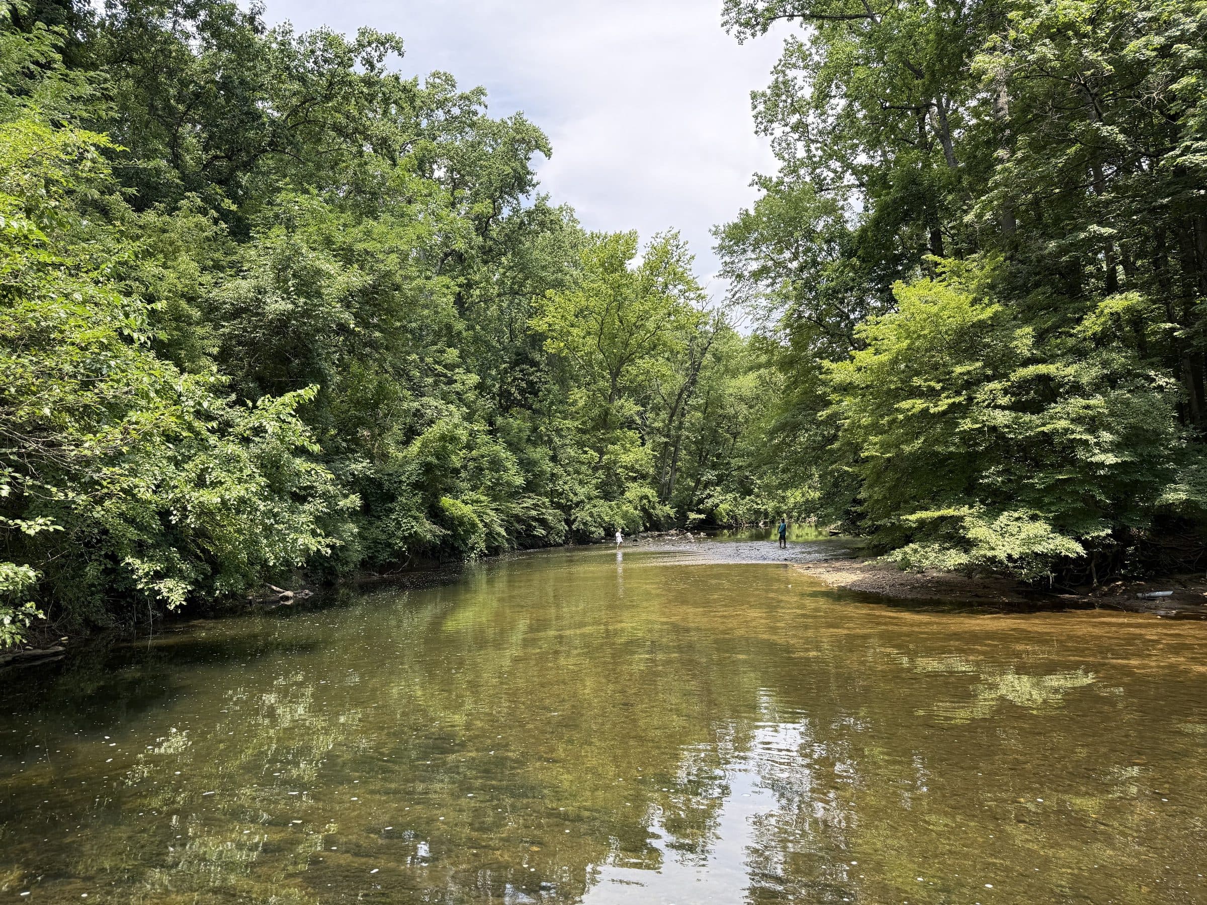 The Pennypack Creek running over rocks through wooded Pennypack Park, which forms the northern edge of the Rhawnhurst section of Philadelphia.