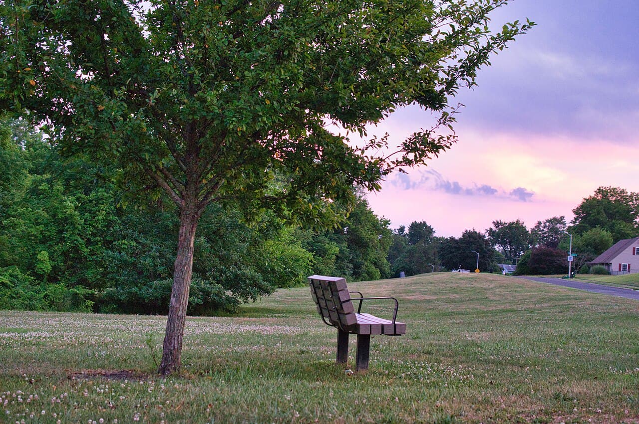 A bench under a tree on the greenbelt easement in the Cobalt Ridge section of Levittown, Pennsylvania, with a single-storey Levitt-built ranch home on the street beyond.