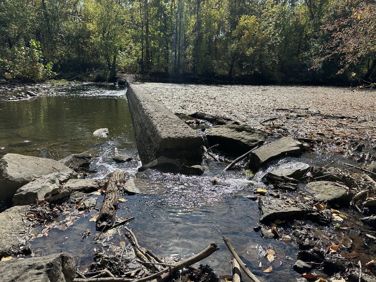 A low stone dam across the Little Neshaminy Creek at Street Road in Warrington, Pennsylvania, with autumn woods along both banks.